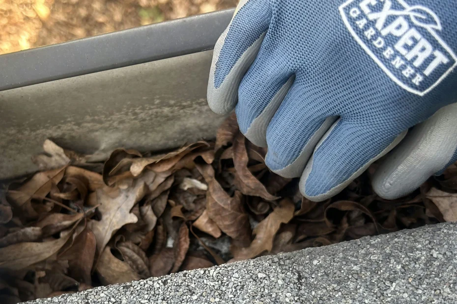 Gutter Cleaning Shrewsbury, MO