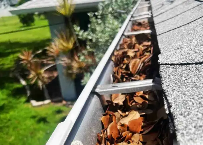 Gutter Cleaning Shrewsbury, Mo home page